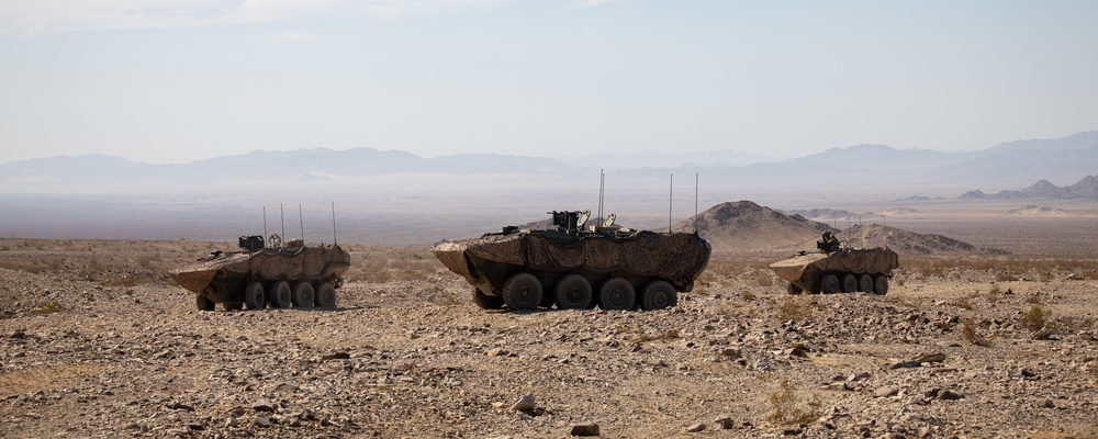 13th MEU BLT ACVs Conduct Range 400