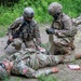 “Regulators” execute medical evacuation training