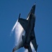 F-16 Viper Demo Team performs at the Miami Air and Sea Show