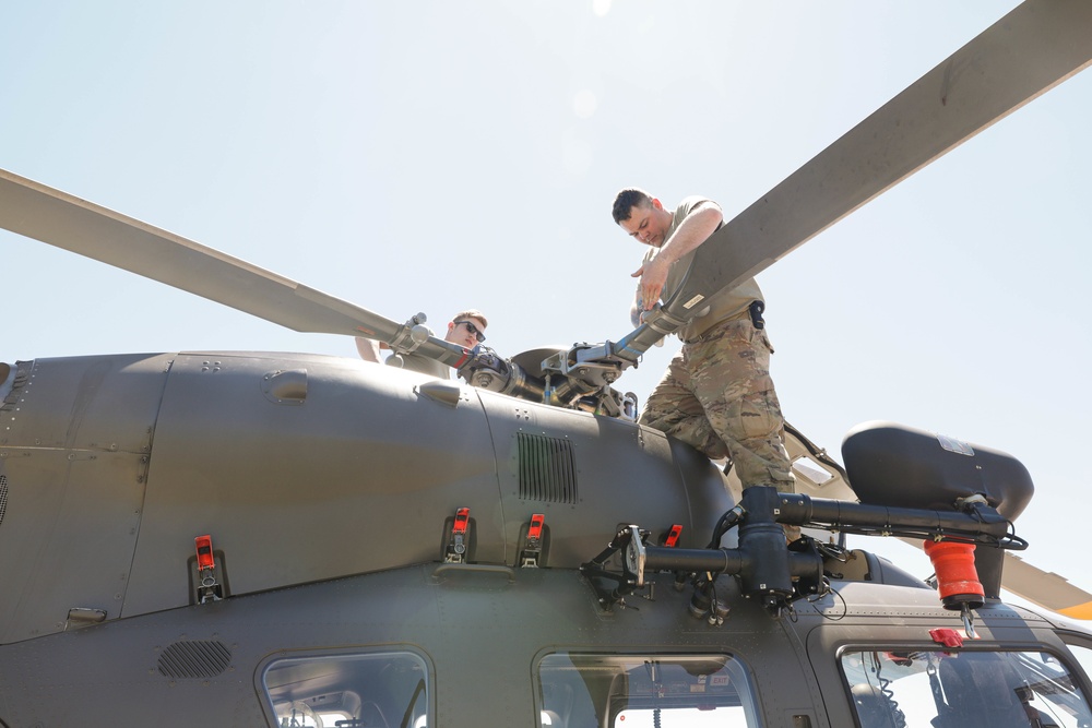 1/112th Delta Co. (AA)  - Golden Coyote 22