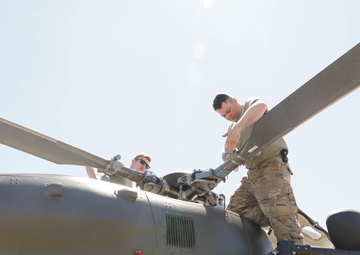 1/112th Delta Co. (AA)  - Golden Coyote 22