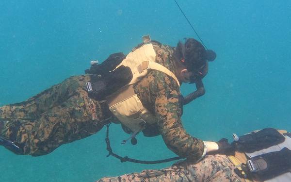 Caribbean Coastal Warrior Amphibious Infiltration/Exfiltration