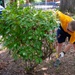 Sailors volunteer during Navy Week Memphis