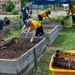 Sailors volunteer for Memphis Tilth during Memphis Navy Week