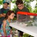 Wright-Patt Pollinator Expo creates buzz on and off base