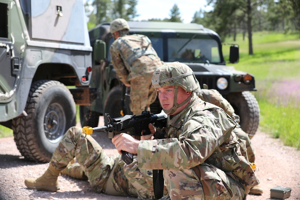 1245th Transportation Co, Mount Training - Golden Coyote