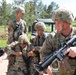 1245th Transportation Co, Mount Training - Golden Coyote