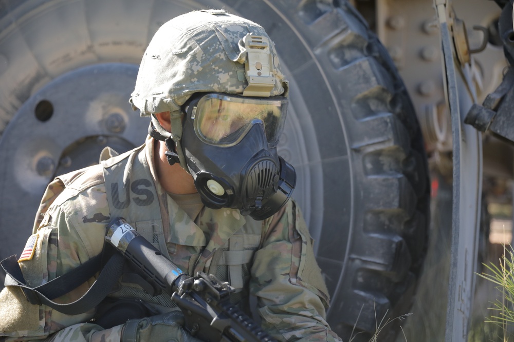 163rd Infantry Regiment OPFOR - Golden Coyote 22