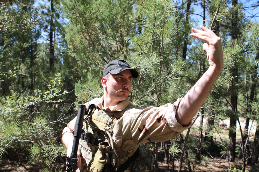 163rd Infantry Regiment OPFOR - Golden Coyote 22