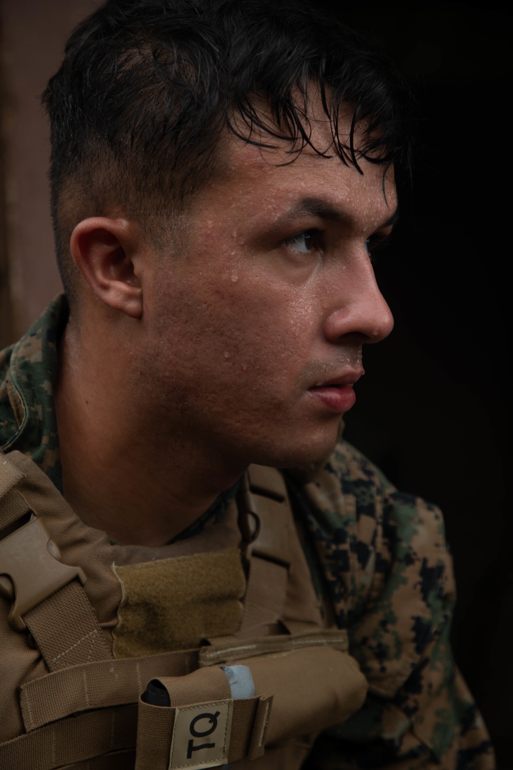 U.S. and French Marines conduct a range in Martinique