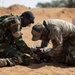 M-4 Carbine Marksmanship Range Training during African Lion 2022