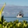 Mexican Navy tank landing ship ARM Usumacinta (A-412) arrives at Pearl Harbor for RIMPAC 2022