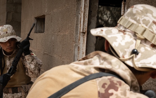 Japan, U.S. conduct close-quarters combat training in Djibouti