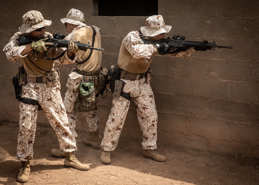 Japan, U.S. conduct close-quarters combat training in Djibouti