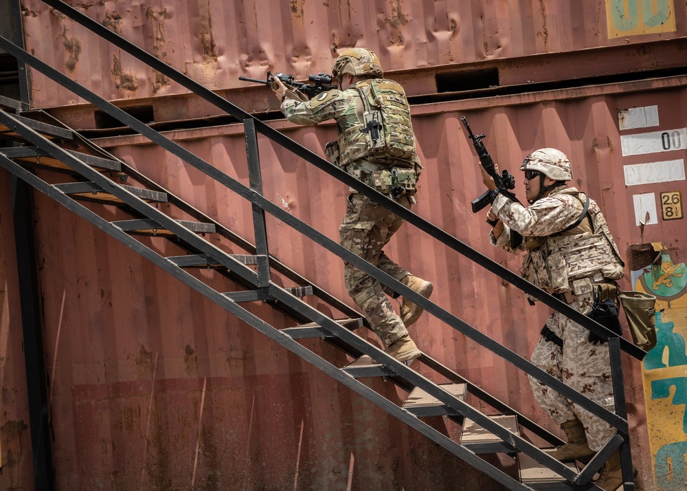 Japan, U.S. conduct close-quarters combat training in Djibouti