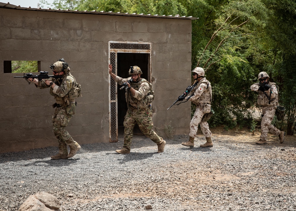 Japan, U.S. conduct close-quarters combat training in Djibouti