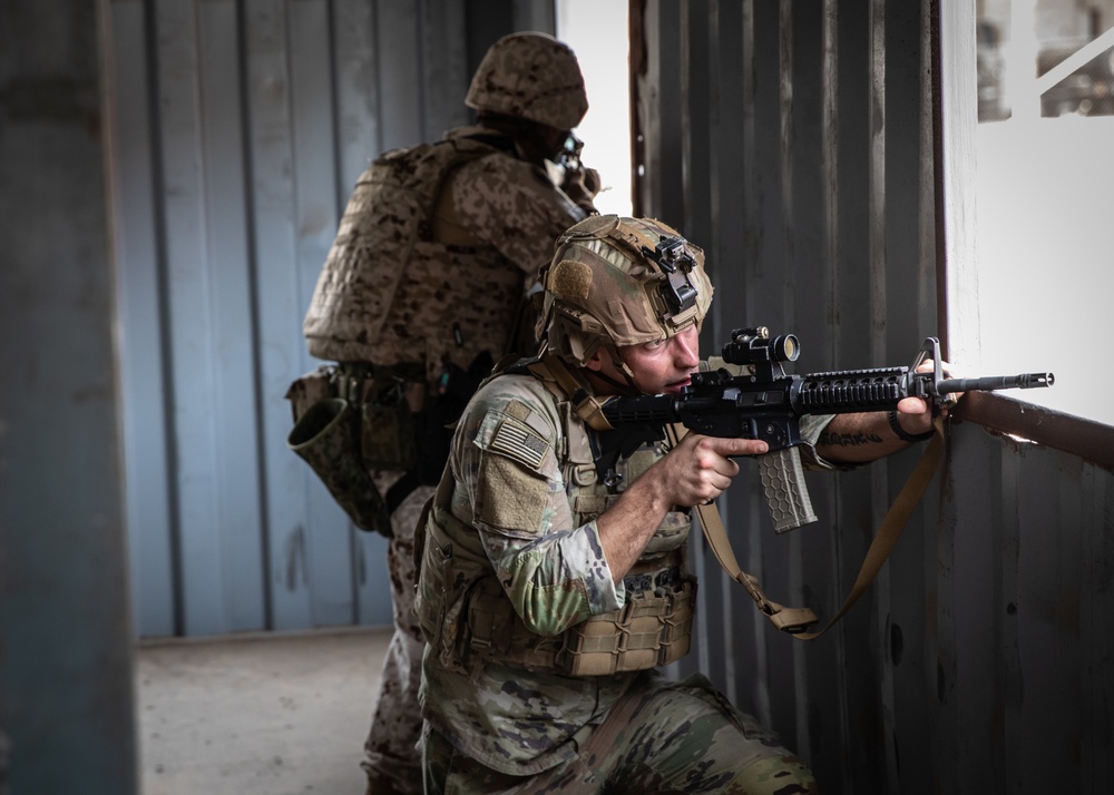 Japan, U.S. conduct close-quarters combat training in Djibouti