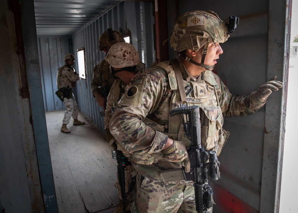 Japan, U.S. conduct close-quarters combat training in Djibouti