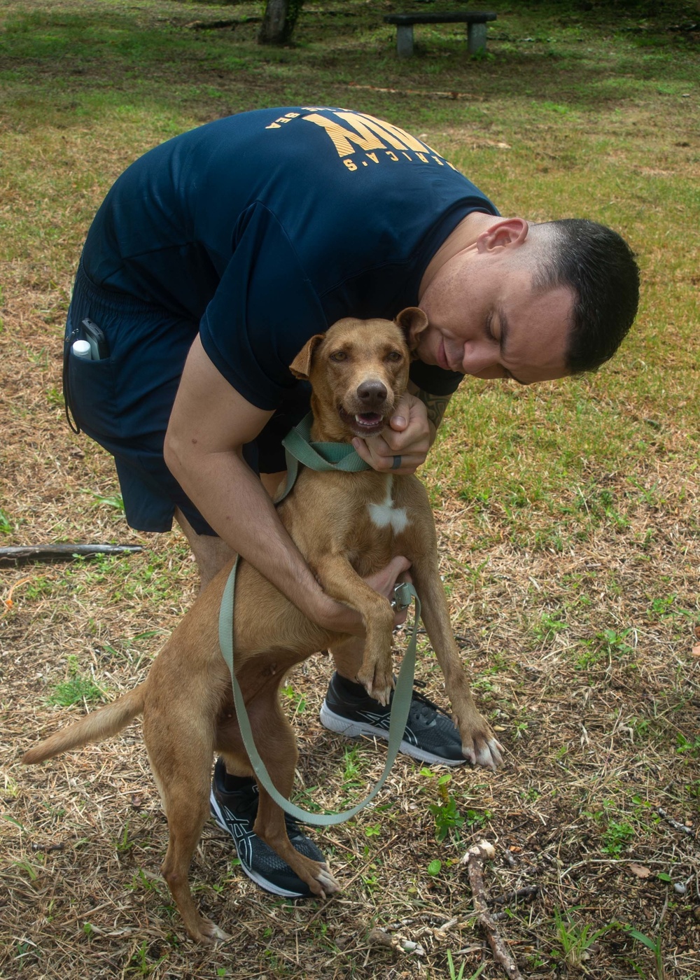 USS Ronald Reagan (CVN 76) Sailors participate in a community relations event