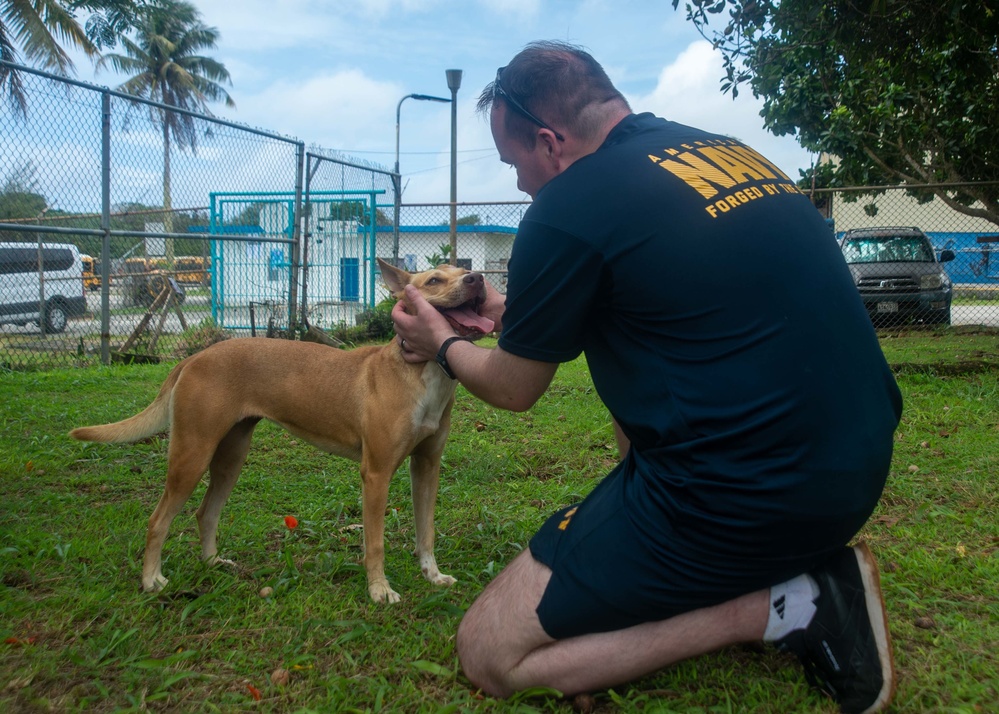 USS Ronald Reagan (CVN 76) Sailors participate in a community relations event