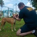 USS Ronald Reagan (CVN 76) Sailors participate in a community relations event