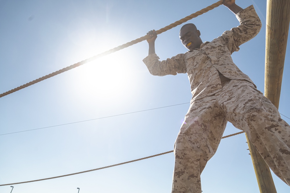 Alpha Company Confidence Course