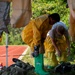 Decontamination exercise