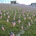 Fort Lee Soldiers support flag planting at Virginia War Memorial