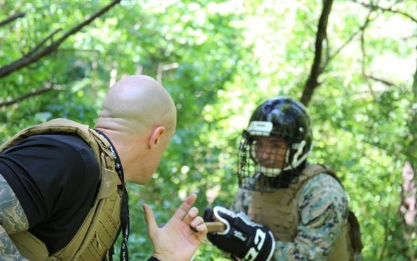 Marine Corps Security Force Regiment Martial Arts Instructor Course