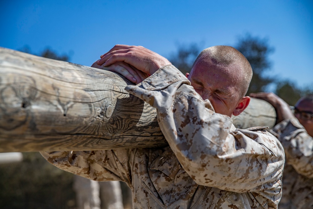 Mike Company Log Drills