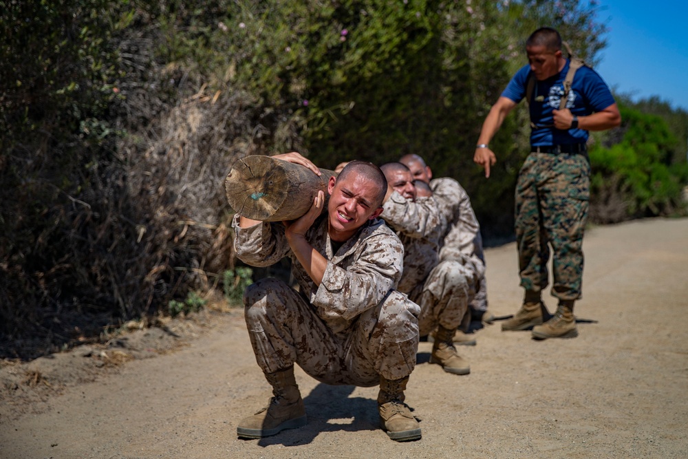 Mike Company Log Drills