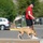 Dog Duty: Bliss BOSS Soldiers volunteer with El Paso animal org 