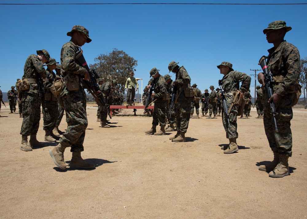 Delta Company Grass Week