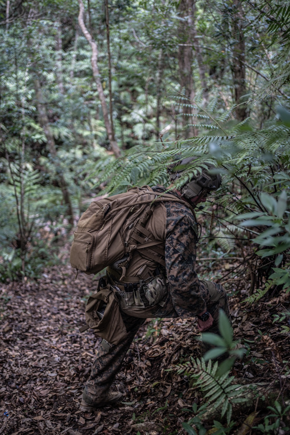 Jungle Crab 22 | Explosive Ordnance Disposal Marines conduct jungle survival training