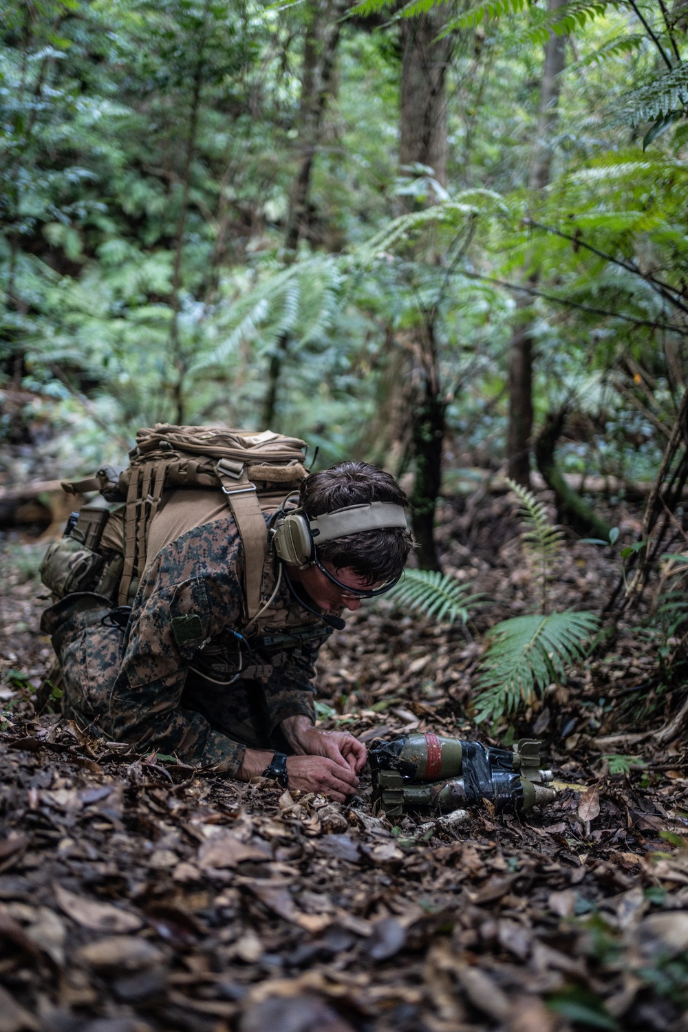 Jungle Crab 22 | Explosive Ordnance Disposal Marines conduct jungle survival training