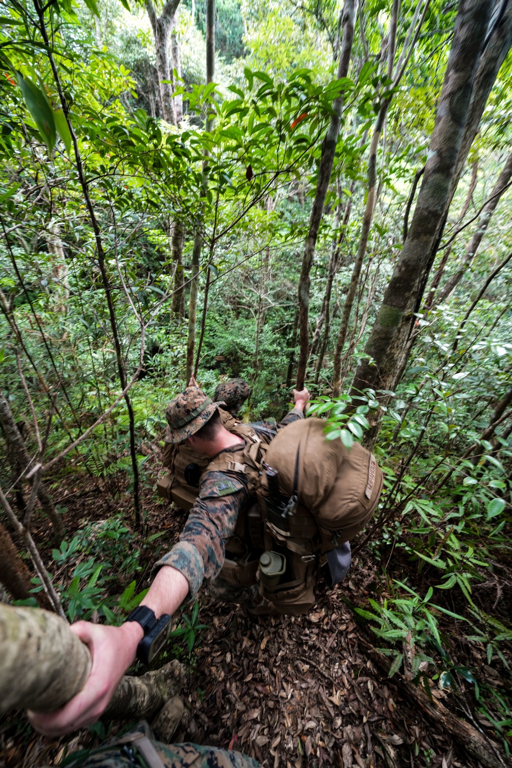 Jungle Crab 22 | Explosive Ordnance Disposal Marines conduct jungle survival training