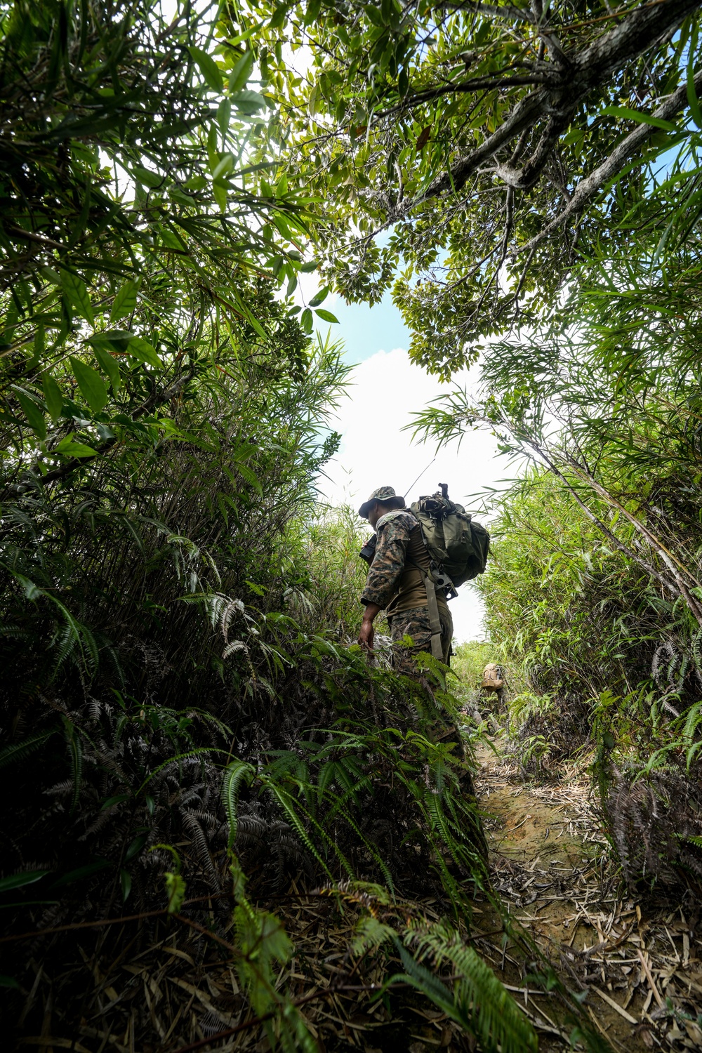 Jungle Crab 22 | Explosive Ordnance Disposal Marines conduct jungle survival training