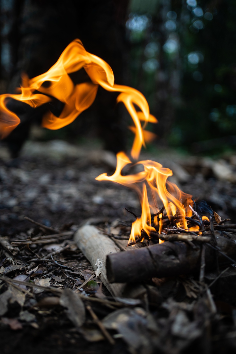 Jungle Crab 22 | Explosive Ordnance Disposal Marines conduct jungle survival training