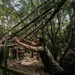 Jungle Crab 22 | Explosive Ordnance Disposal Marines conduct jungle survival training