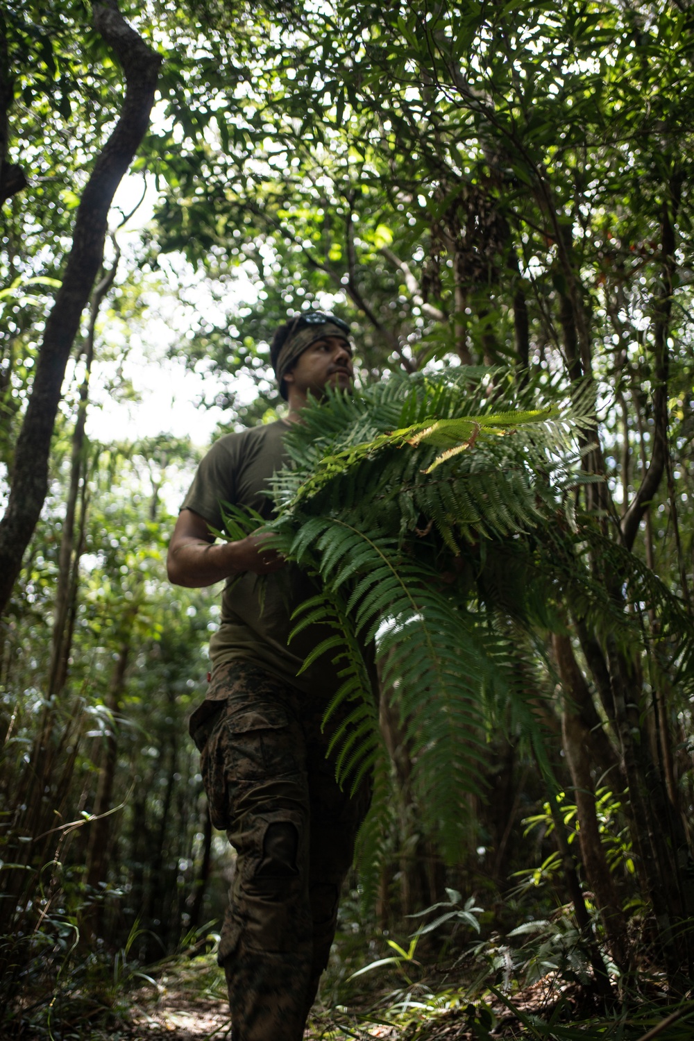 Jungle Crab 22 | Explosive Ordnance Disposal Marines conduct jungle survival training