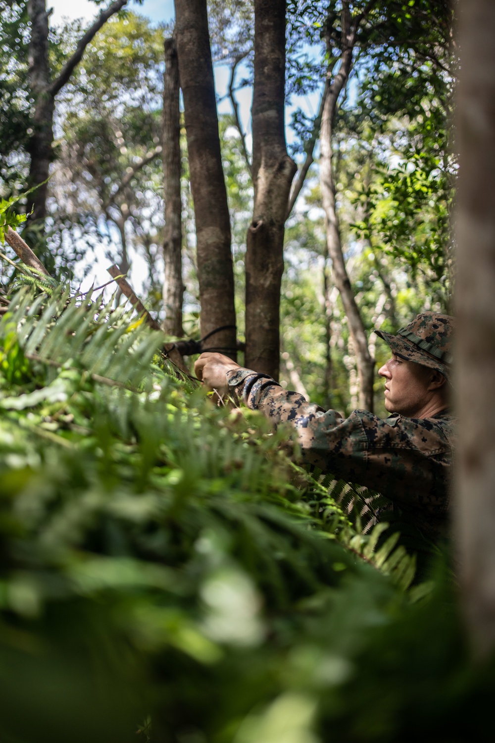 Jungle Crab 22 | Explosive Ordnance Disposal Marines conduct jungle survival training