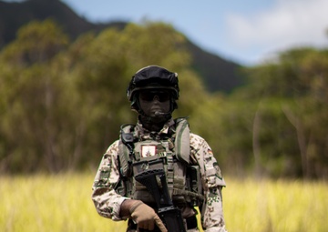 RIMPAC 2022: U.S. Army, German Special Operations Forces conduct Live-fire training