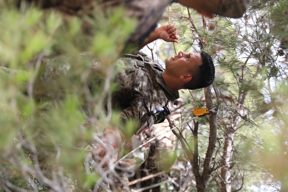 U.S. and Tunisian soldiers train on EOD and medical procedures during African Lion 22