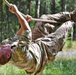 B-Troop, 2CR at Obstacle Course