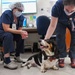 Wagging tails and smiling faces: Therapy dogs bring comfort to Medical Center staff