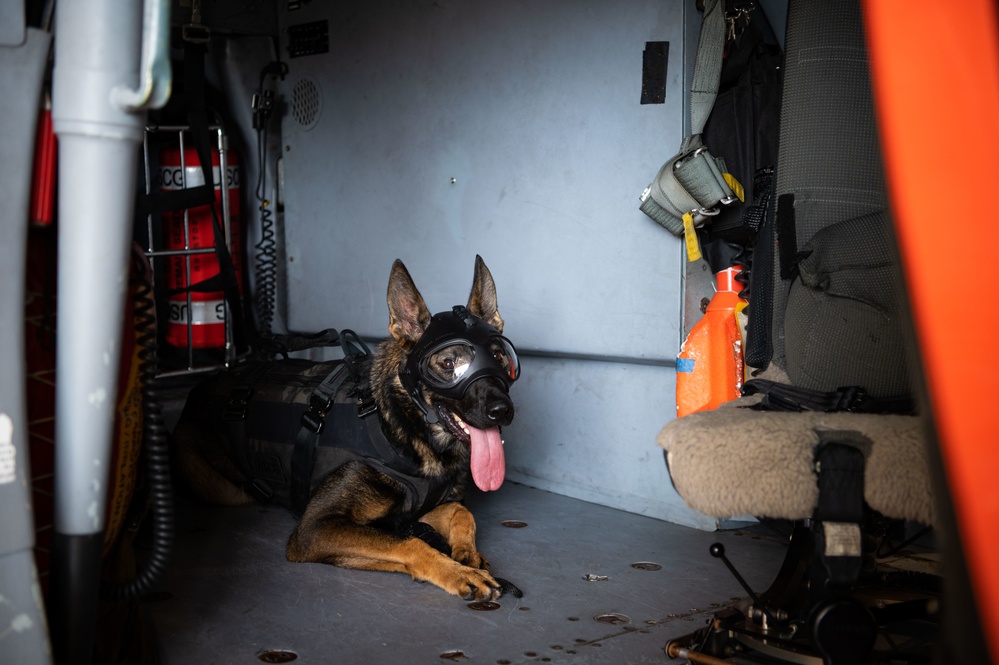 Coast Guard K9 Simba Helicopter to Boat Hoist