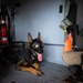 Coast Guard K9 Simba Helicopter to Boat Hoist