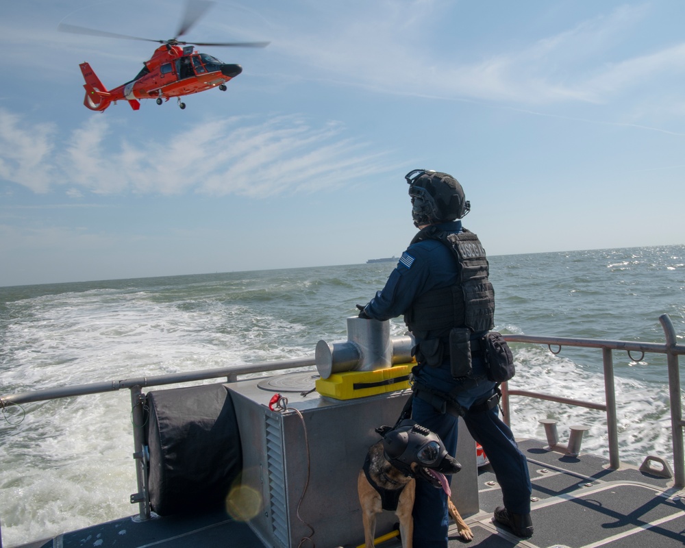 Coast Guard K9 Simba Helicopter to Boat Hoist