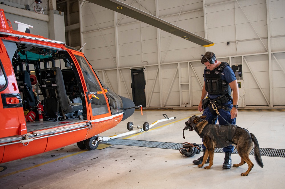 Coast Guard K9 Simba Helicopter to Boat Hoist