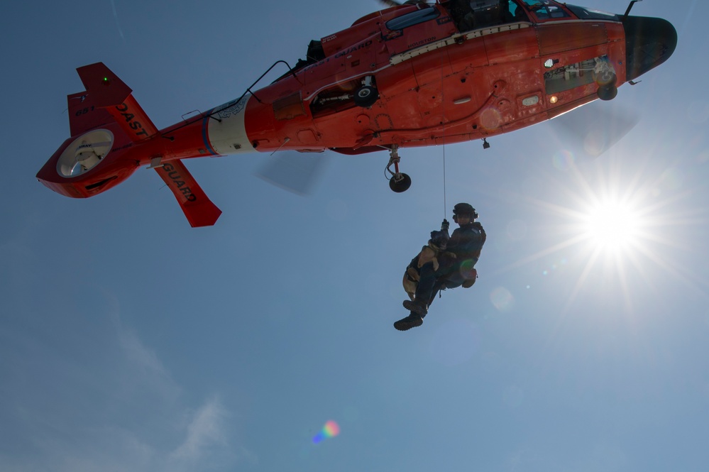 Coast Guard K9 Simba Helicopter to Boat Hoist